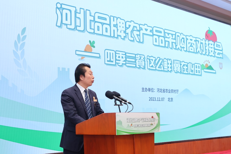 国际贸易风向标：代理服务解读